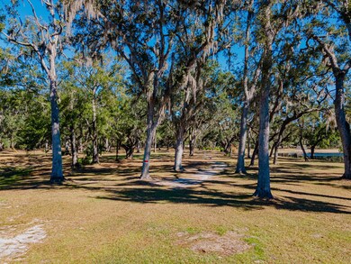 536 SE Lakeview Dr, Branford, FL 32008 - photo 7