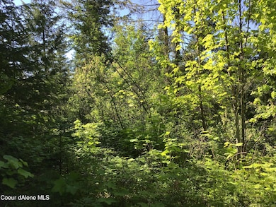 0 Fly Catcher Lts 13 & 14 unit 25-3423, St. Maries, ID 83861 - photo 4