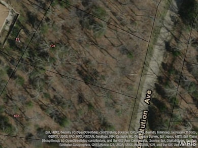 101 Constitution (Plat 6 Lot 101) Ave, de Soto, MO 63020 - photo 2