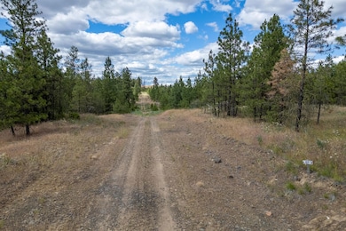 35430 Prairie Ln N unit Lot 3, Creston, WA 99117 - photo 3