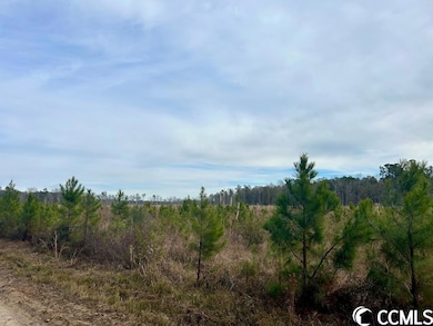 0 Craven Rd, Marion, SC 29571 - photo 3