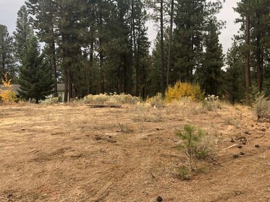 Level Cleared Building Site With Easy Access