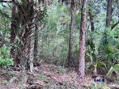 775 Union Ave, 33440, 2.5 acres