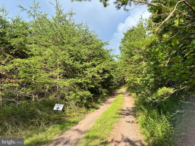 0 Upland Trail unit WVMO2002074, Berkeley Springs, WV 25411 - photo 5