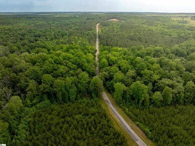 00 Elford Grove Rd unit Tract 1, Jonesville, SC 29353 - photo 5