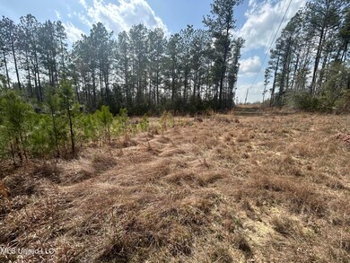 00 Jordan Hill Rd, Carson, MS 39427 - photo 5