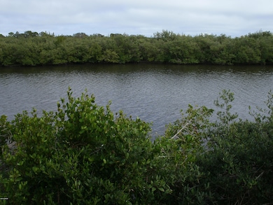 1401 S Palmetto Ave unit 811, Daytona Beach, FL 32114 - photo 5