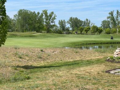 Lot Golden Bear2