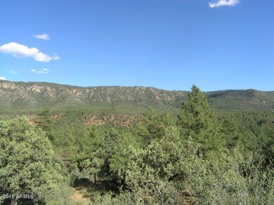 4953 Trail End Dr unit 184, Pine, AZ 85544 - photo 3