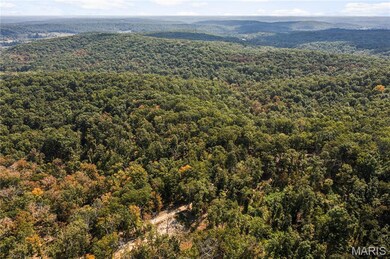 0 Bcr 300 unit MIS25064974, Marble Hill, MO 63764 - photo 2