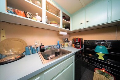 SOLID WOOD Cabinets: some people paint these types