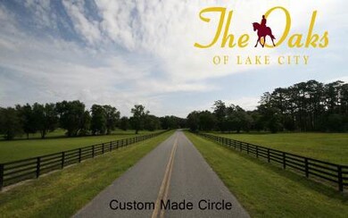 LOT27 Mandiba Dr, Lake City, FL 32024 - photo 4