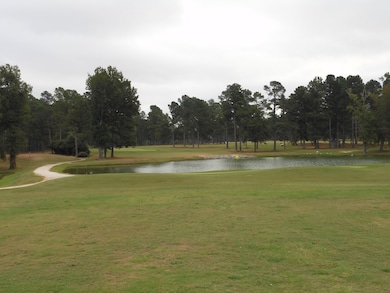 0 Shady Oak Ct, Waynesboro, GA 30830 - photo 3