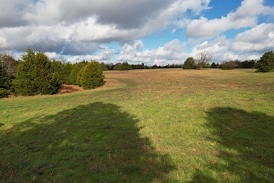 Track 3 E Farm Road 60, Franklin No. 2 Township, MO 65803 - photo 5