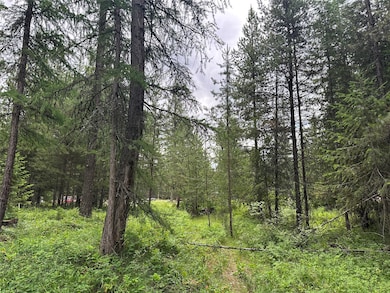 NHN Jewel Ln unit Lot 23, Trout Creek, MT 59874 - photo 7