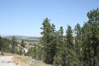 Shots from different spots  in the Yellowstone Riv