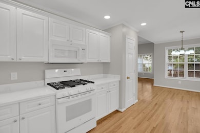 408 Gallatin Cir, Irmo, SC 29063 - photo 7