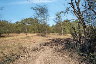 2805 Vz County Road 3507, Wills Point, TX 75169 - photo 6