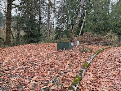 0 Maplewood Dr, Longview, WA 98632 - photo 5