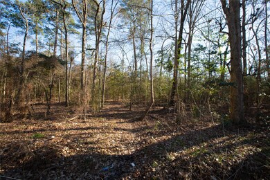 00 County Road 3812, Cleveland, TX 77328 - photo 3