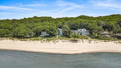 Drone View of Lakefront