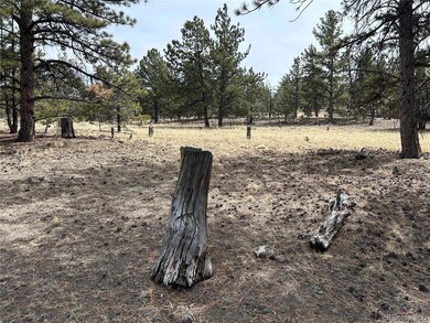 2146 Wagon Wheel Rd unit 353, Hartsel, CO 80449 - photo 2