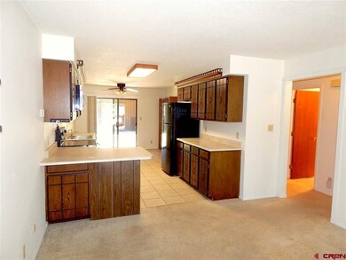 2926 Holly Ave unit 301, Durango, CO 81301 - photo 2