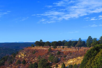 0 Timber Ridge Ln unit B29-30 16-1135, Trinidad, CO 81082 - photo 2