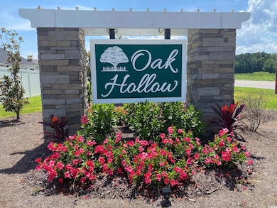 891 Birch Garden Dr unit Lot 127 Gardener II, Longs, SC 29568 - photo 3