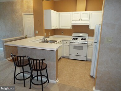 5005 Triplett Rd, Owings Mills, MD 21117 - photo 5