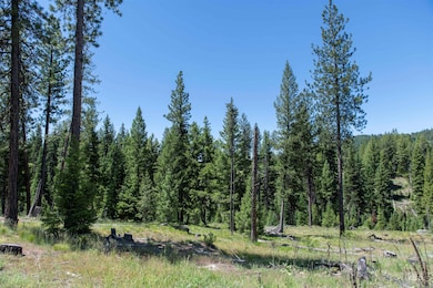 TBD 33 Clear Creek Rd, Cascade, ID 83611 - photo 5