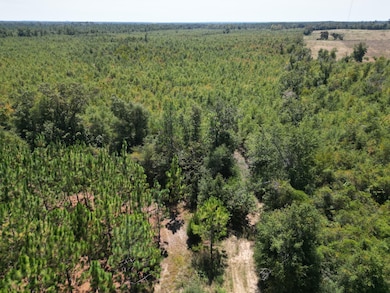 0 Black Rd unit 24725300, Marianna, FL 32446 - photo 5