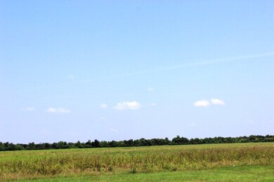 13ACRES County Road 168, Alvin, TX 77511 - photo 6