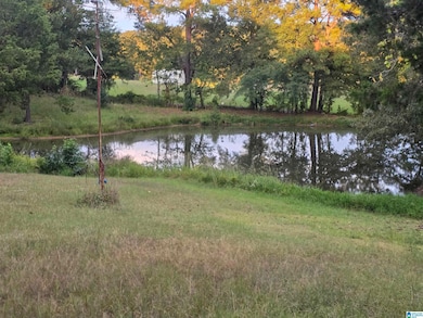 625 Dee Hendrix Rd unit 625, Bessemer, AL 35023 - photo 4