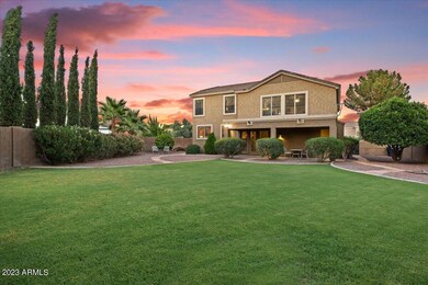 Lush Backyard