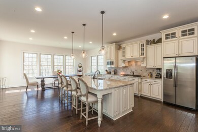 24011 Lavender Meadow Place, Ashburn, VA 20148 - photo 5