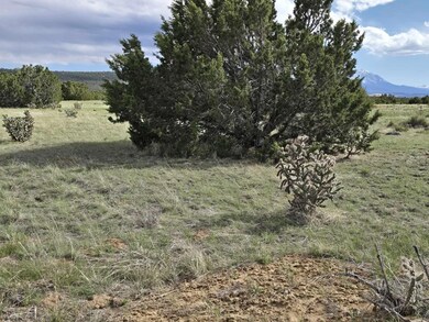 8 Tres Amigos Trail, Walsenburg, CO 81089 - photo 6