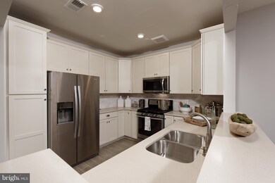 510 Quarry View Ct unit 201, Reisterstown, MD 21136 - photo 5