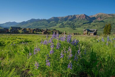 14 Walking Deer Ln, Mt. Crested Butte, CO 81225 - photo 6