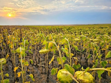 40500 E 144th Ave, Hudson, CO 80642 - photo 2