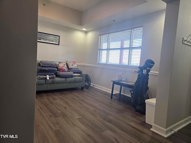 120 Raceday Center Dr unit 604, Bristol, TN 37620 - photo 6