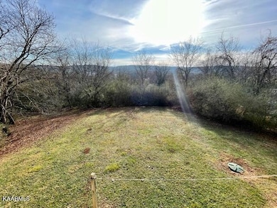 Nice Backyard!