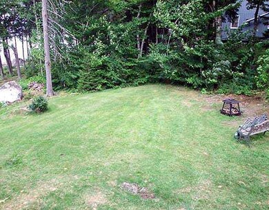 Yard/Garden.