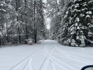 511 Rocky Mountain Ranch Rd, Spirit Lake, ID 83869 - photo 7