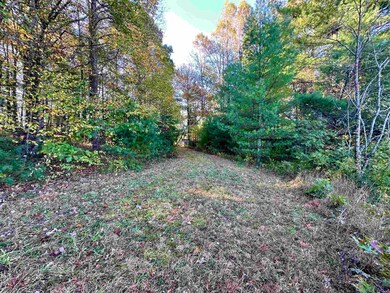TBD Shelor Rd, Meadows of Dan, VA 24120 - photo 7
