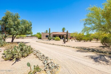 46-web-or-mls-7D3A2275