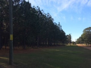 00 Yellow Brick Rd unit n/a, Douglas, GA 31535 - photo 7