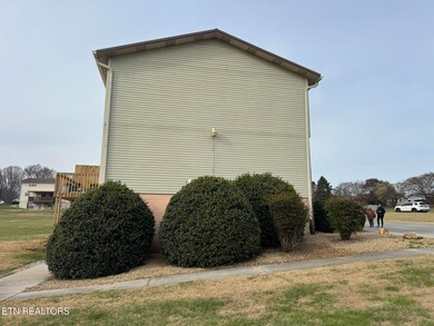 3707 Moss Ln, Louisville, TN 37777 - photo 5