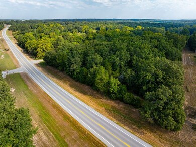 0 Hwy 167 N, Cave City, AR 72521 - photo 4