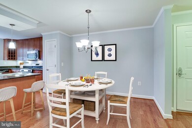 4129 S Four Mile Run Dr unit 402, Arlington, VA 22204 - photo 5